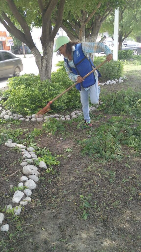 Personal de parques y jardines a cargo de Enrique Yáñez lleva a cabo diversas labores de mantenimiento en la ciudad